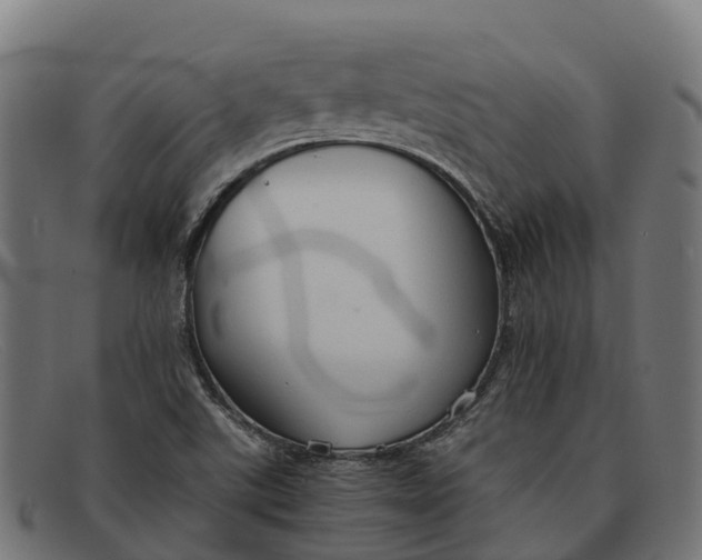 X0000091681507200709131537