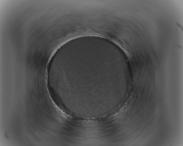 X0000091681508200709131537