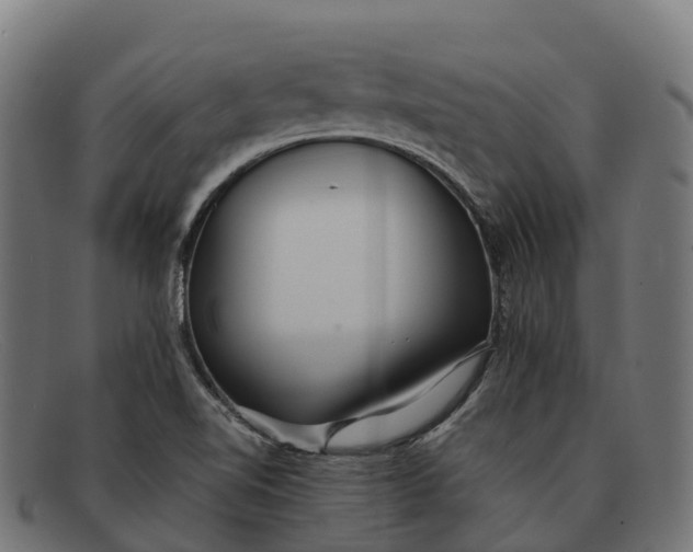 X0000091681510200709131538