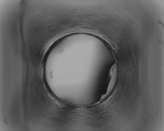 X0000091681511200709131538
