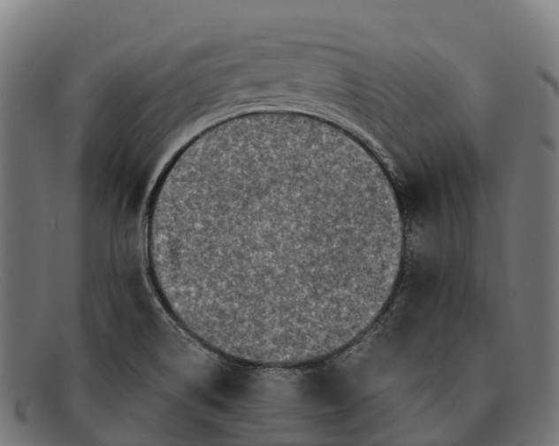 X0000091681514200709131538