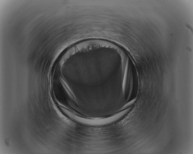 X0000091681515200709131538