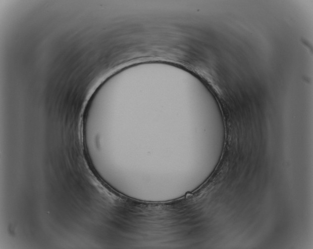 X0000091681516200709131538