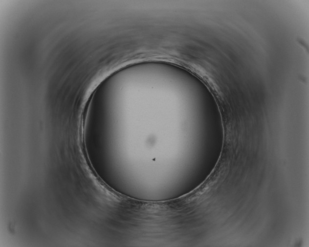 X0000091681520200709131538