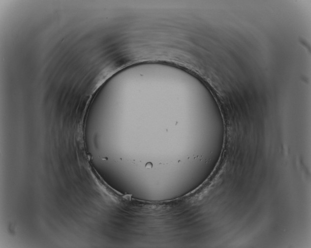 X0000091681521200709131538