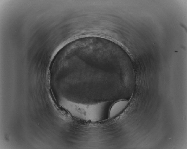 X0000091681522200709131538