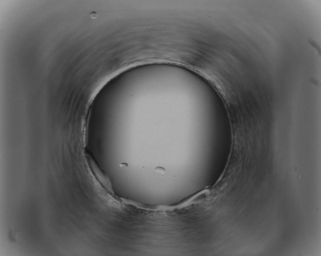 X0000091681524200709131538