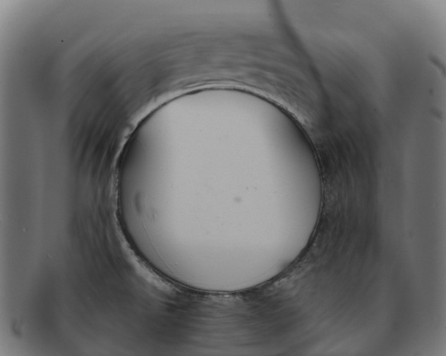 X0000091681526200709131538
