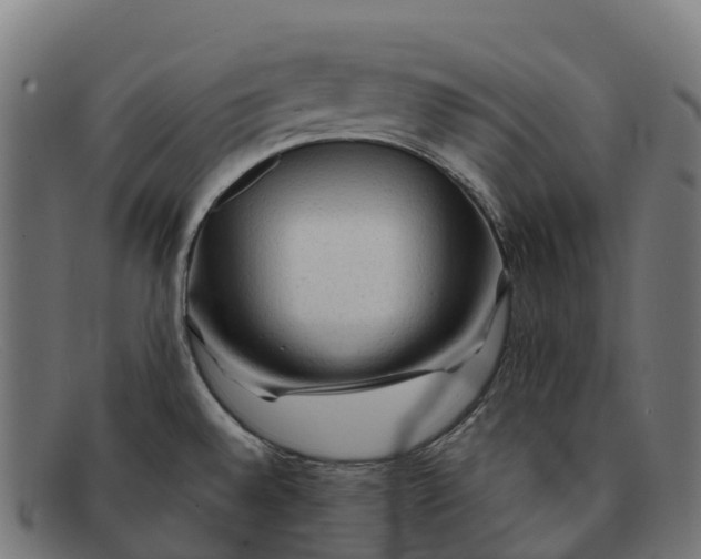 X0000091681528200709131538
