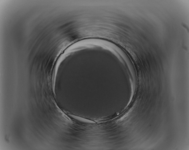 X0000091681529200709131538