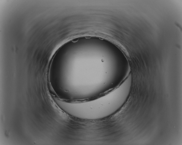 X0000091681530200709131538