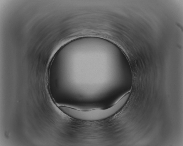 X0000091681531200709131538