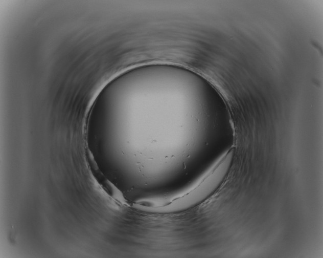 X0000091681532200709131538