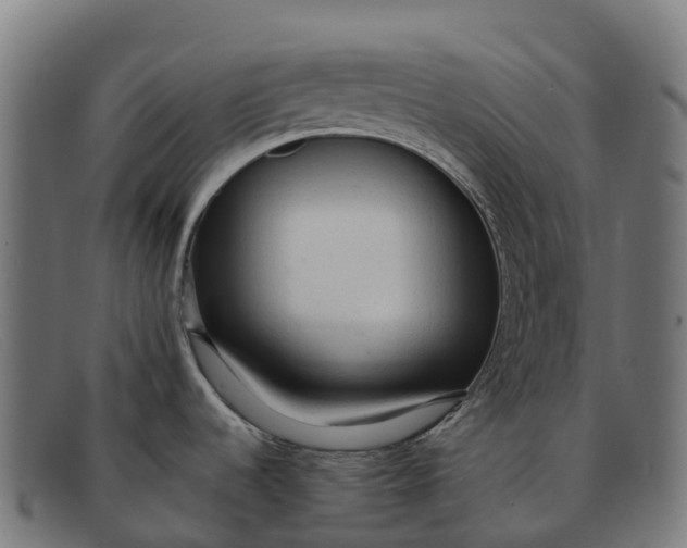 X0000091681536200709131538