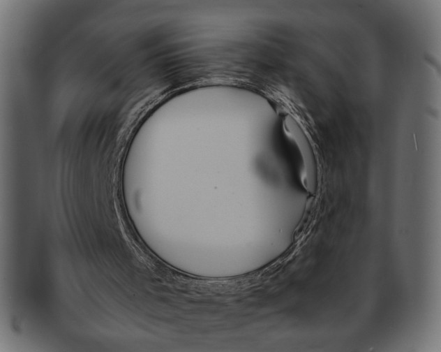 X0000091680001200709201248