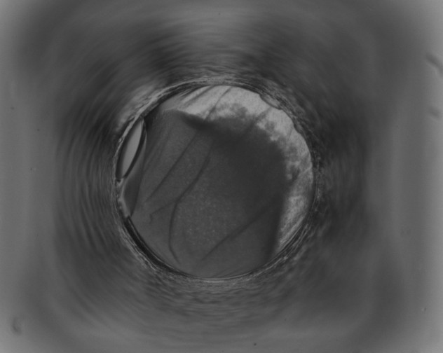 X0000091680002200709201248