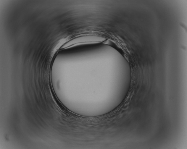 X0000091680003200709201248