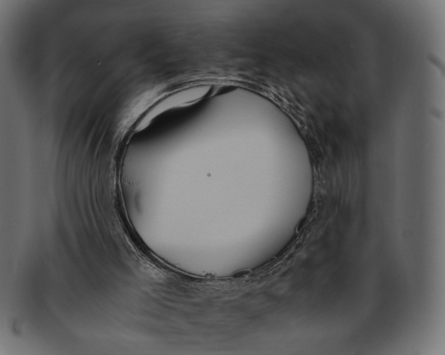 X0000091680005200709201248