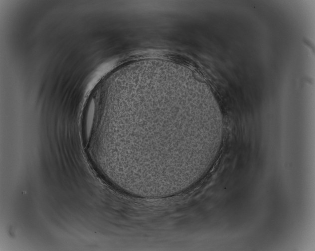 X0000091680006200709201248