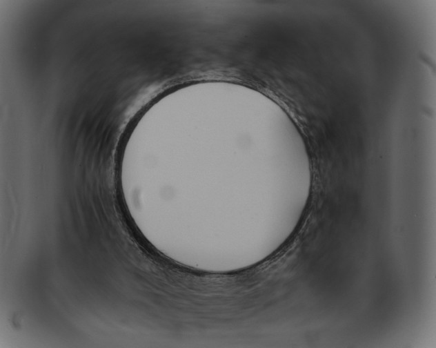 X0000091680008200709201248