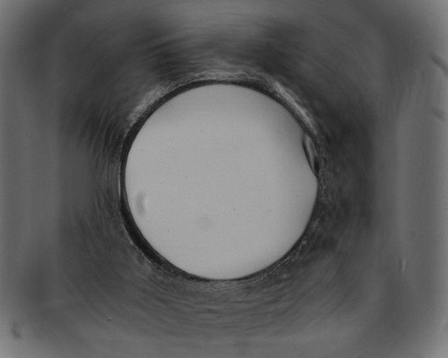 X0000091680011200709201248