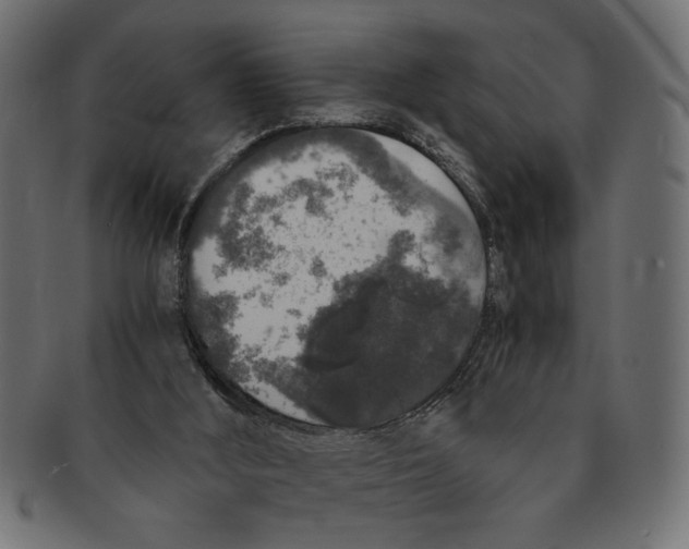 X0000091680012200709201248