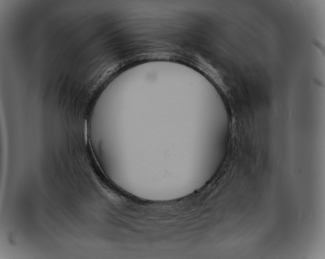 X0000091680013200709201248