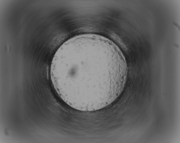 X0000091680014200709201248