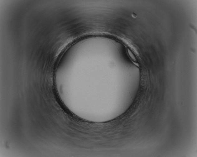 X0000091680015200709201248