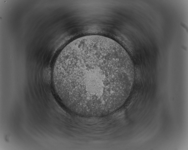 X0000091680016200709201248