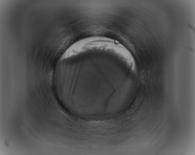 X0000091680018200709201248