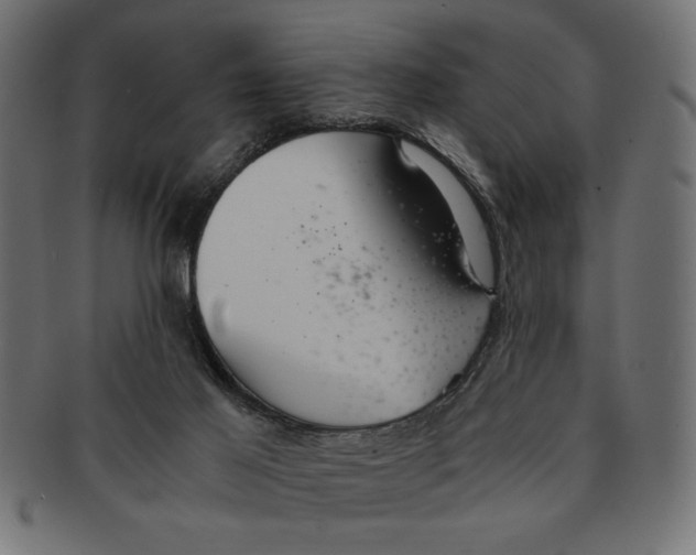 X0000091680021200709201248