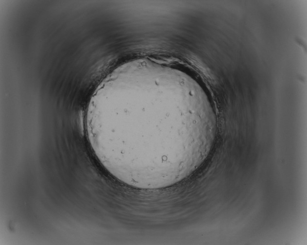 X0000091680022200709201248