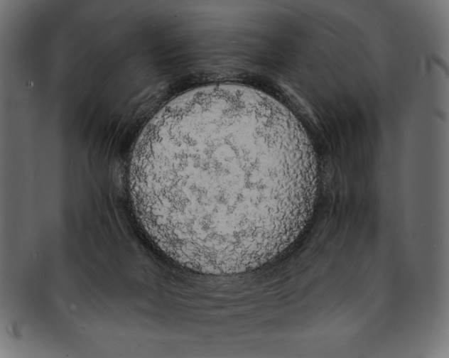 X0000091680026200709201248