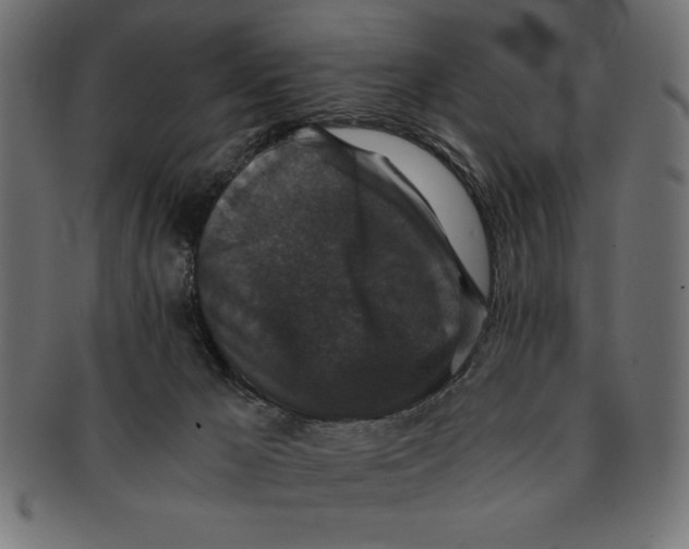 X0000091680029200709201248