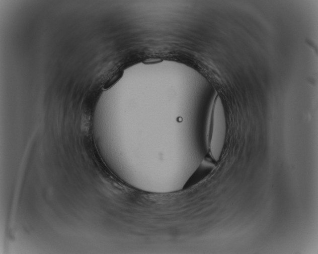 X0000091680033200709201248