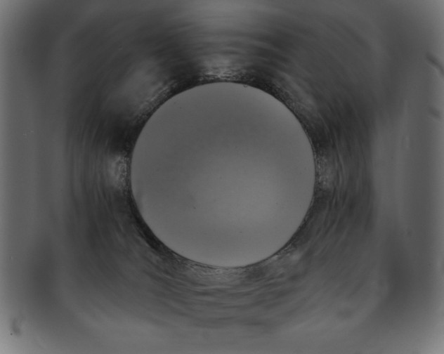 X0000091680036200709201248