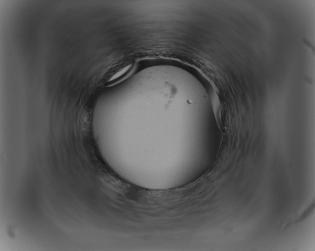 X0000091680037200709201248