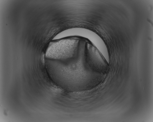 X0000091680041200709201247