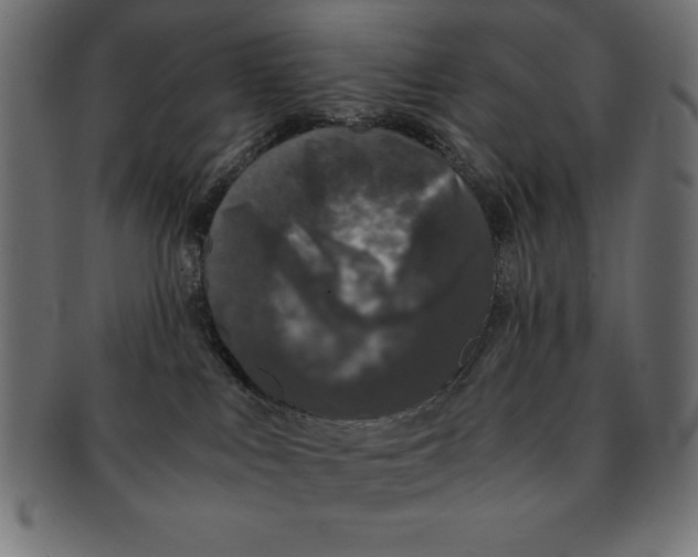 X0000091680043200709201247