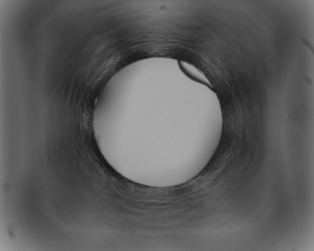 X0000091680044200709201247