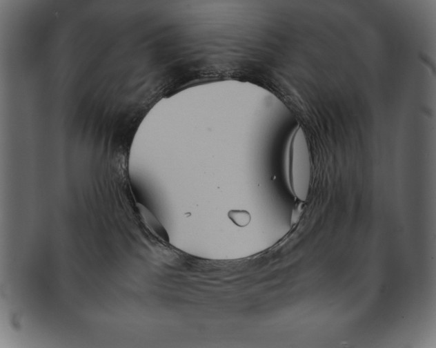 X0000091680045200709201247