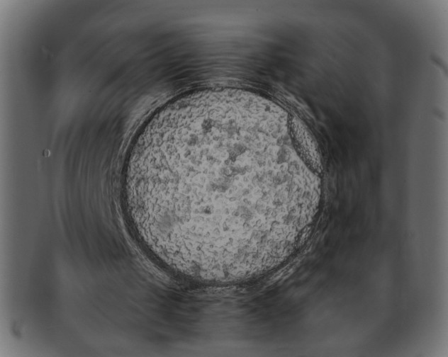 X0000091680049200709201247