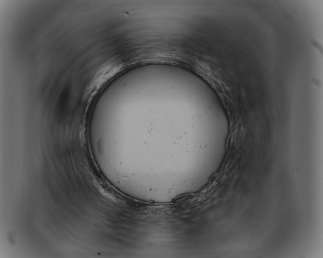 X0000091680050200709201247