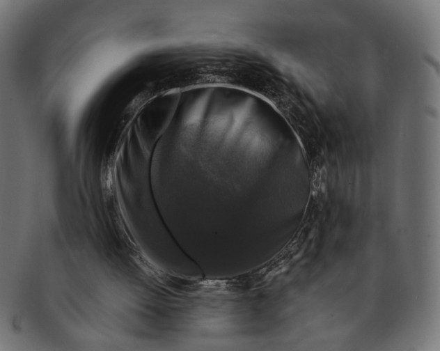 X0000091680052200709201247