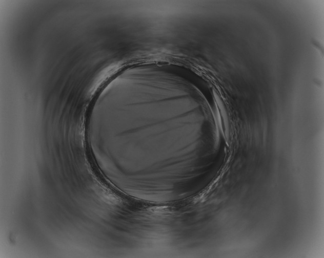 X0000091680054200709201247