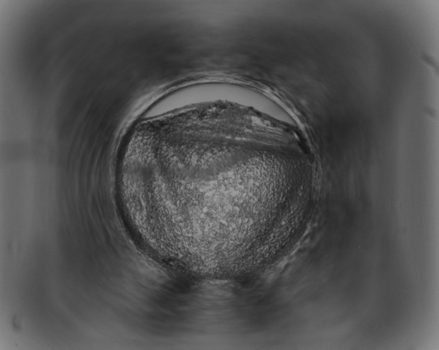 X0000091680055200709201247