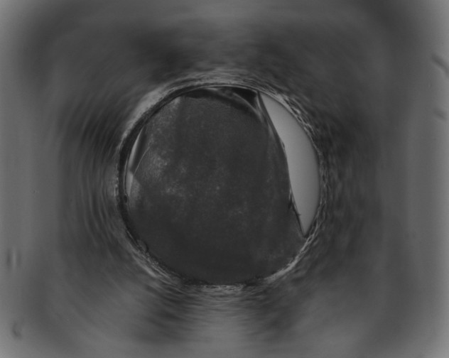 X0000091680056200709201247