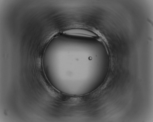 X0000091680057200709201247