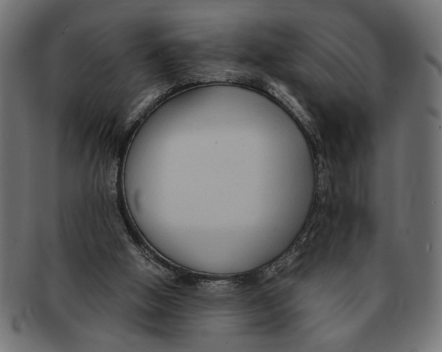 X0000091680058200709201247